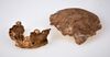 Nesher Ramla Homo fossils- a skull fragment and a lower jaw.jpg