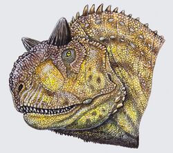 Drawing of a Carnotaurus head