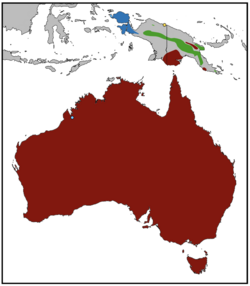 Range map of extant members of the Tachyglossidae.png