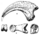 AMNH 6368 Therizinosaur.png