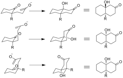 Stereochemical pathways of Robinson annulation
