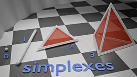 The four simplexes that can be fully represented in 3D space.