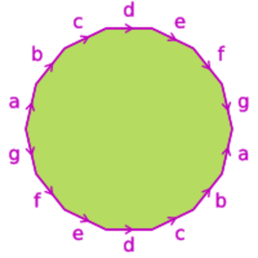 File:14-gon with opposite faces identified.svg