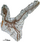 Holotype of Sinocalliopteryx gigas.png