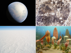 Proterozoic collage.png