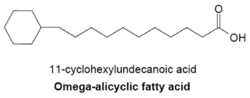11-cyclohexyludencanioc acid.png