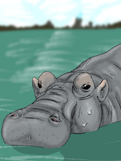 Hippopotamus gorgops in water.png