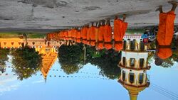 Buddhist monk peace walk