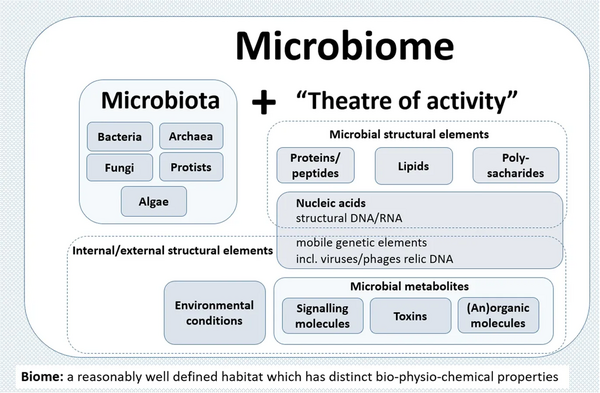 A schematic highlighting the composition of the term microbiome containing both the microbiota (community of microorganisms) and their “theatre of activity” (structural elements, metabolites/signal molecules, and the surrounding environmental conditions)