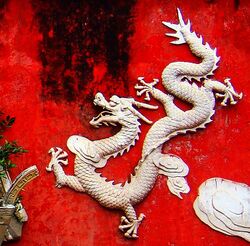 3D artwork of the Chinese dragon on a wall