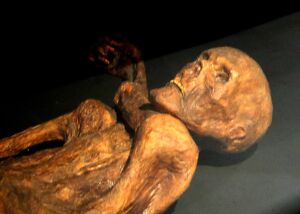 Reconstruction of Ötzi mummy displayed in Prehistory Museum of Quinson