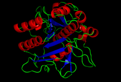 Crystal structure of Subtilisin - 1st2.png