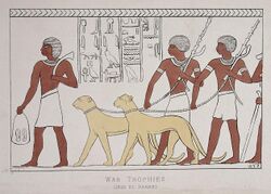 A hieroglyph depicting two leashed cheetahs