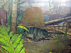 Picture of a large reptile with a sail along its back in a swampy forest setting.