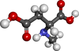 Ball and stick model of N-methyl-D-aspartic acid