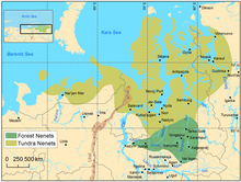 Nenets current.png