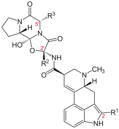 Ergopeptides (structural formula)