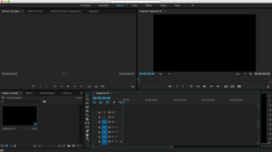 Adobe Premiere Pro CC Screenshot.png
