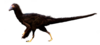 Fukuivenator (Therizinosauria).png